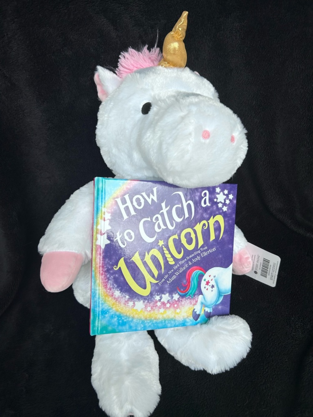 “How to Catch a Unicorn” stuffy and book